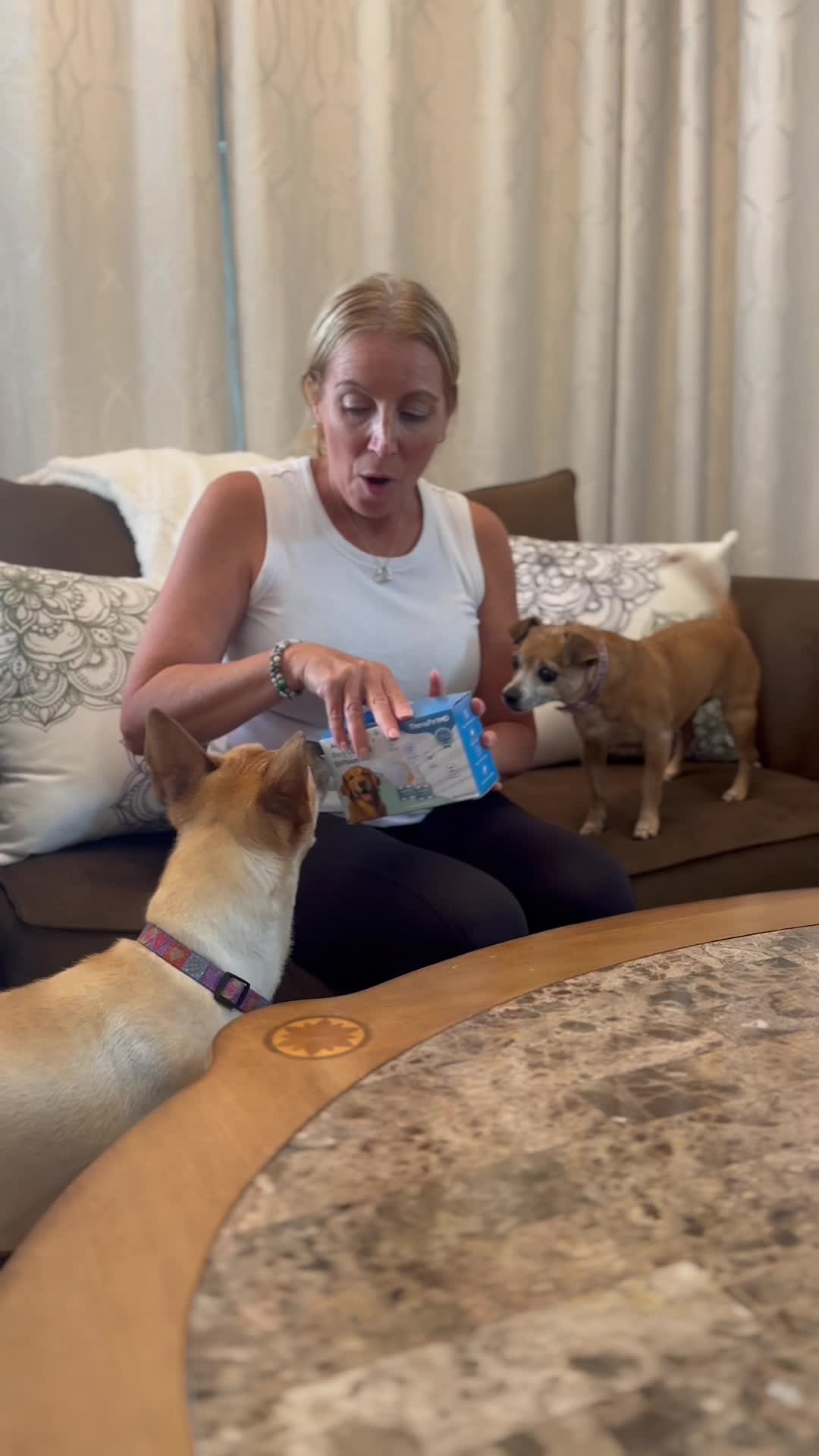 68d29e472fd14_copy_0AF935A7-1C02-4490-9FC0-9B7D09824305.mov