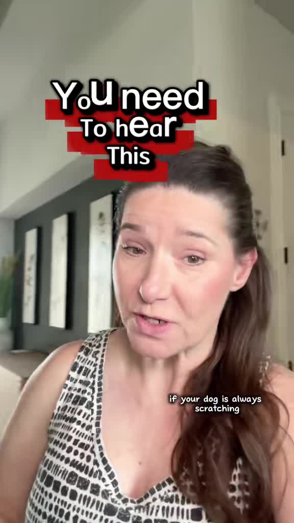 68e9681413a32_v15044gf0000d37jadfog65uo1mp6bn0.MP4